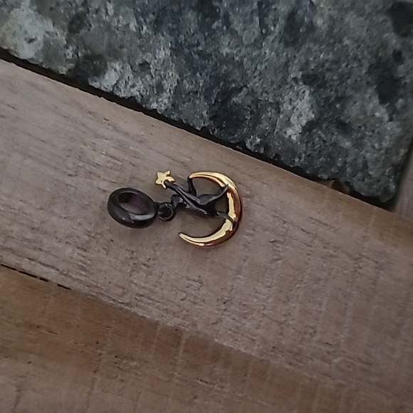 Cat holding a golden star - Picture 4 of 6